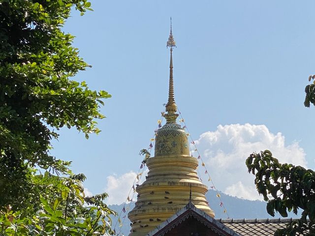 place photo 38