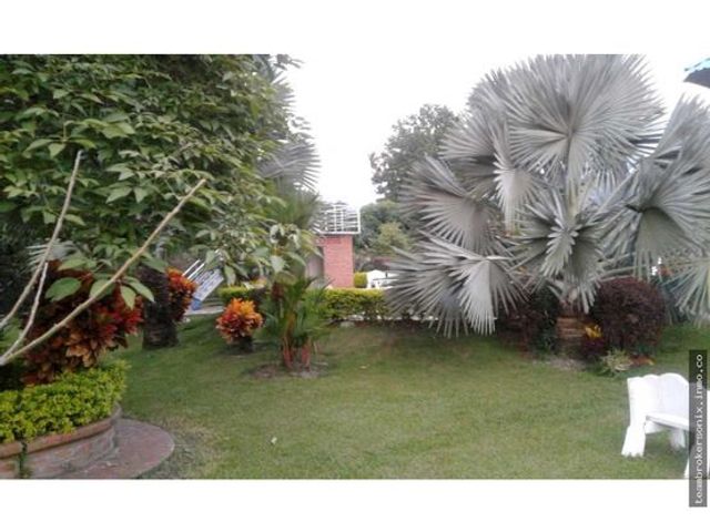 place photo 35