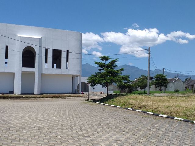 place photo 18