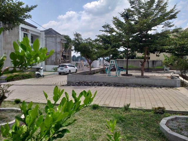 place photo 36