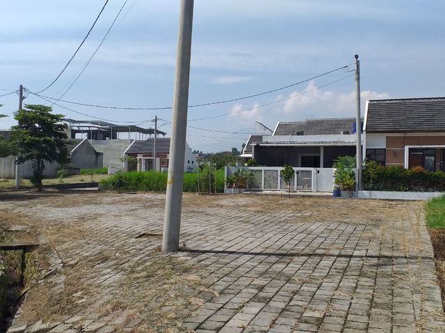 place photo 14