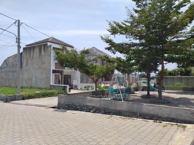 place photo 43