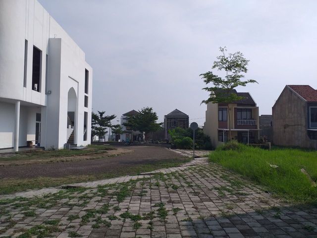 place photo 31
