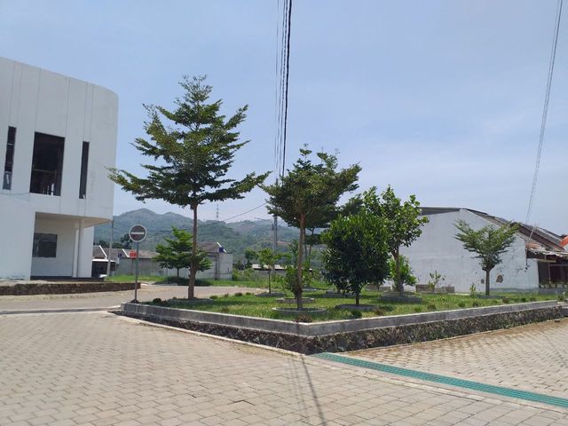 place photo 39