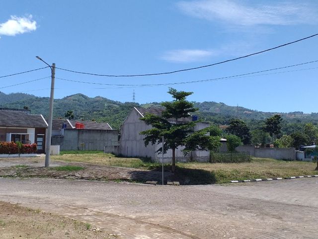 place photo 20