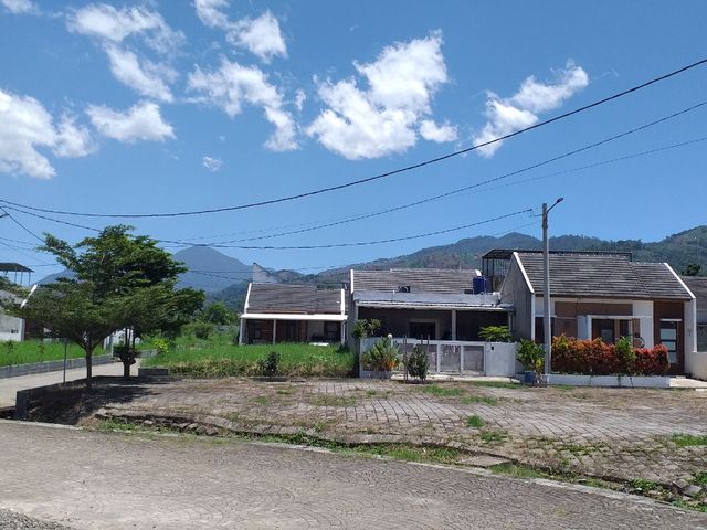 place photo 21