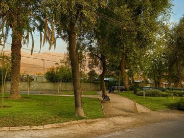 place photo 15