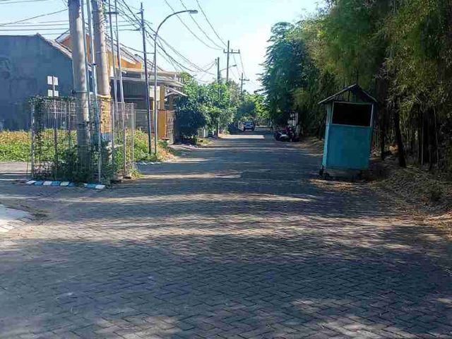 place photo 9