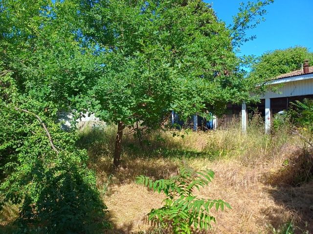 place photo 15
