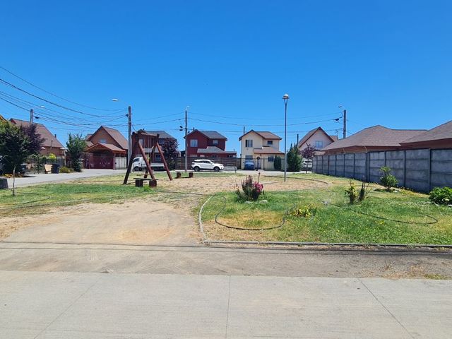 place photo 17