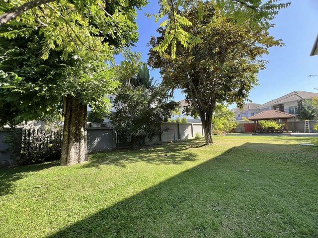 place photo 45