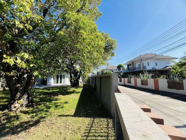 place photo 56