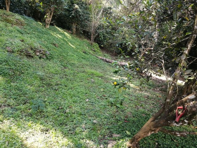 place photo 24