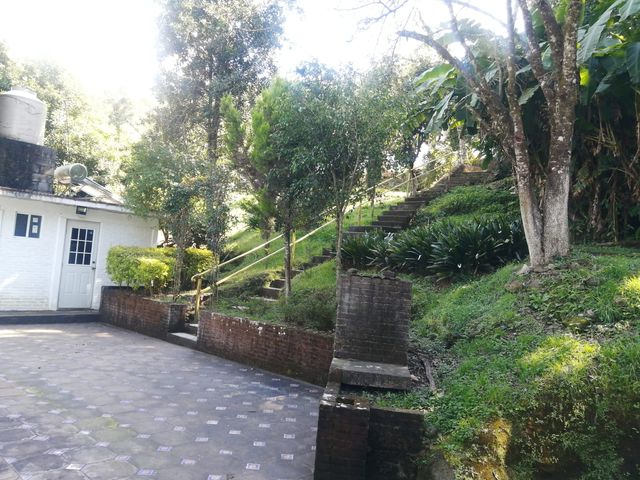 place photo 28