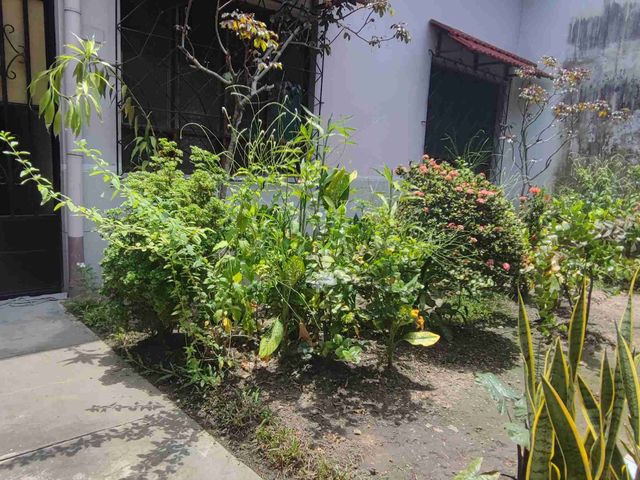 place photo 25