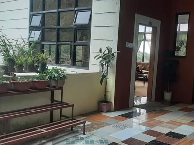 place photo 34