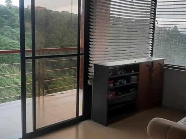 place photo 40