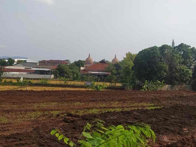 place photo 7