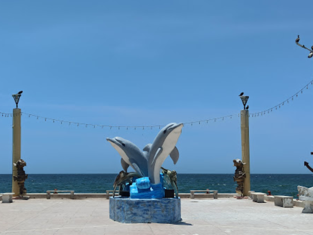 place photo 11