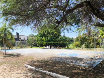 place photo 16