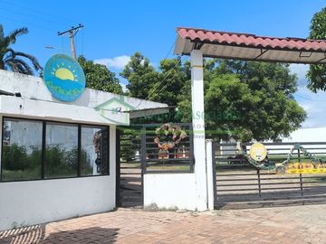 place photo 18