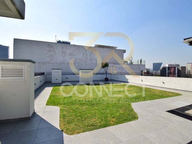 place photo 42