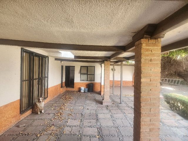 place photo 38