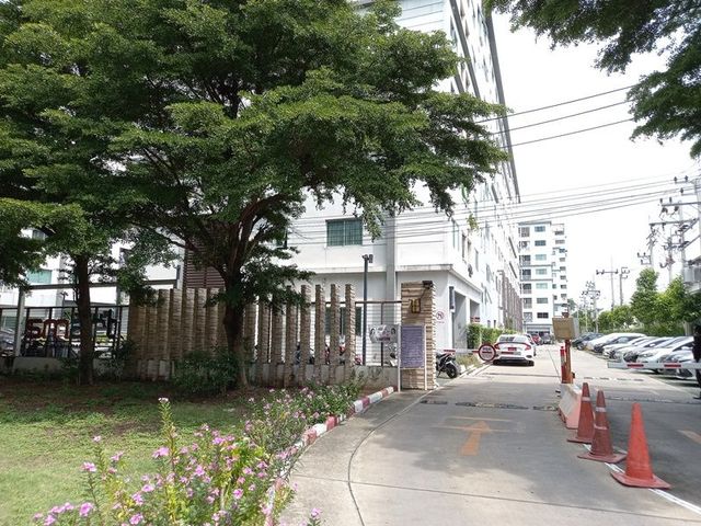 place photo 12