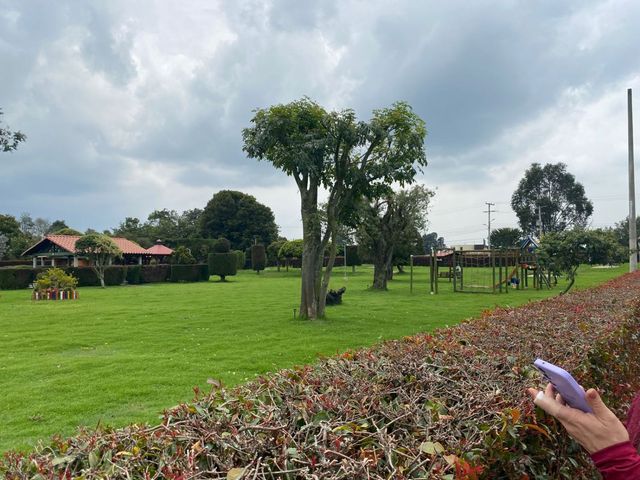 place photo 16