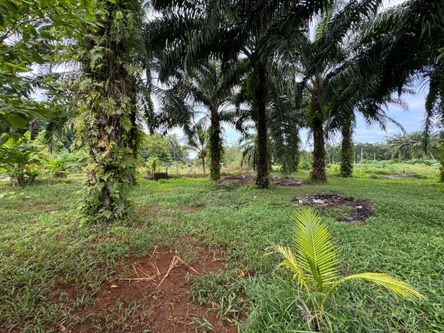 place photo 29
