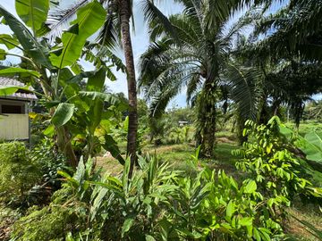 place photo 30