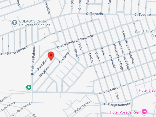 place photo 5