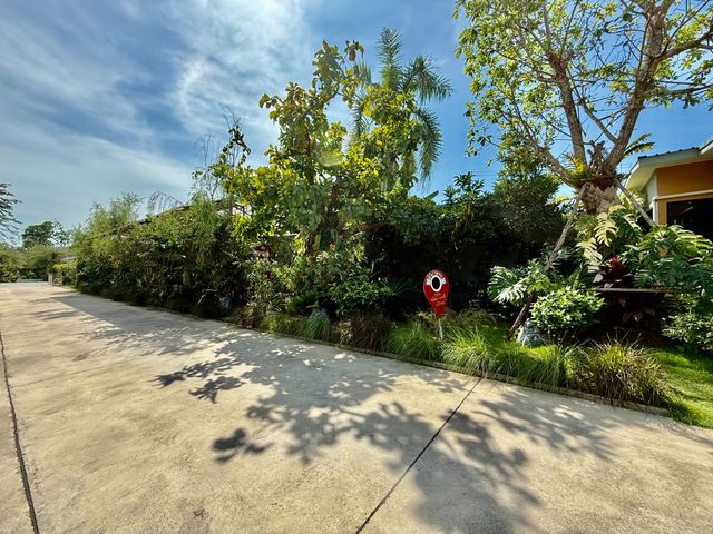 place photo 96