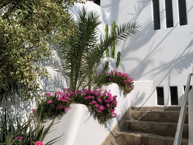 place photo 35