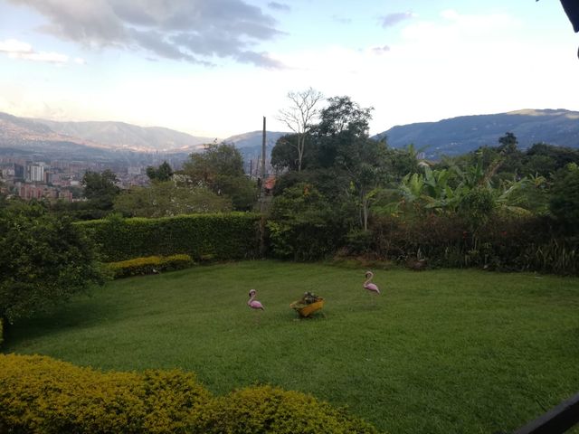 place photo 22