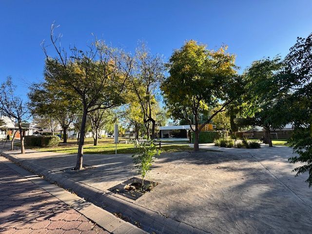 place photo 36