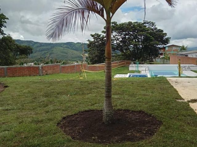 place photo 24