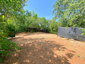 place photo 20
