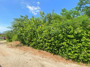place photo 23