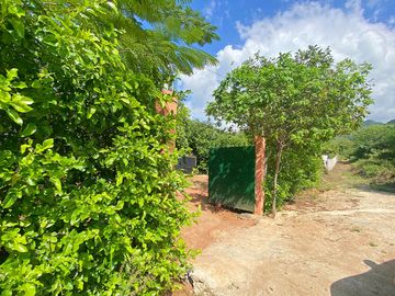 place photo 24