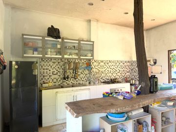 place photo 37