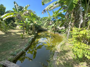 place photo 42