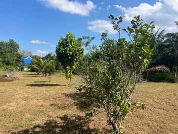 place photo 49