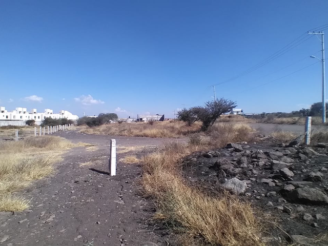 place photo 15
