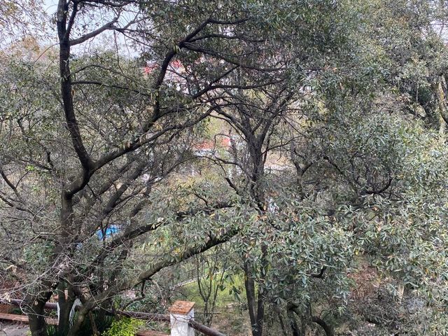 place photo 34