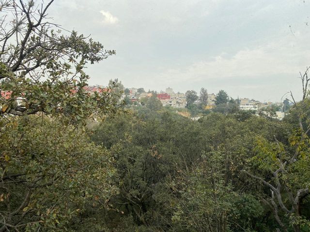 place photo 36