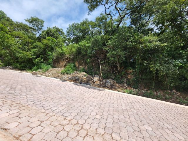 place photo 15