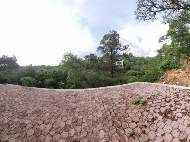 place photo 34