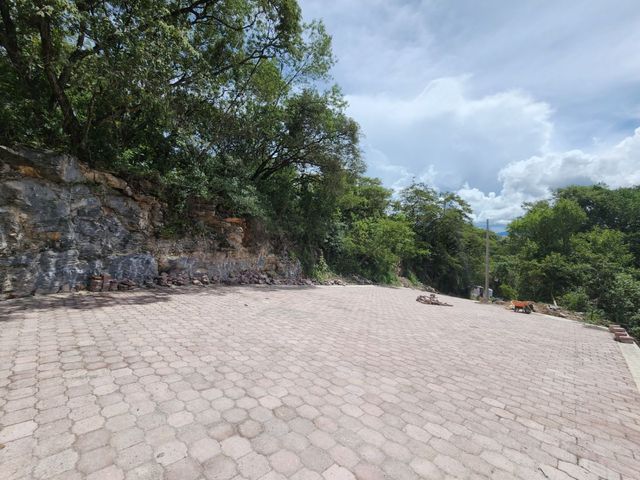 place photo 26