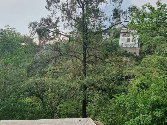 place photo 32